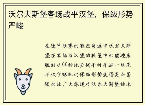 沃尔夫斯堡客场战平汉堡，保级形势严峻